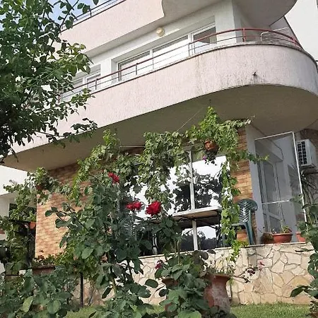 Popov 2* Balcsik