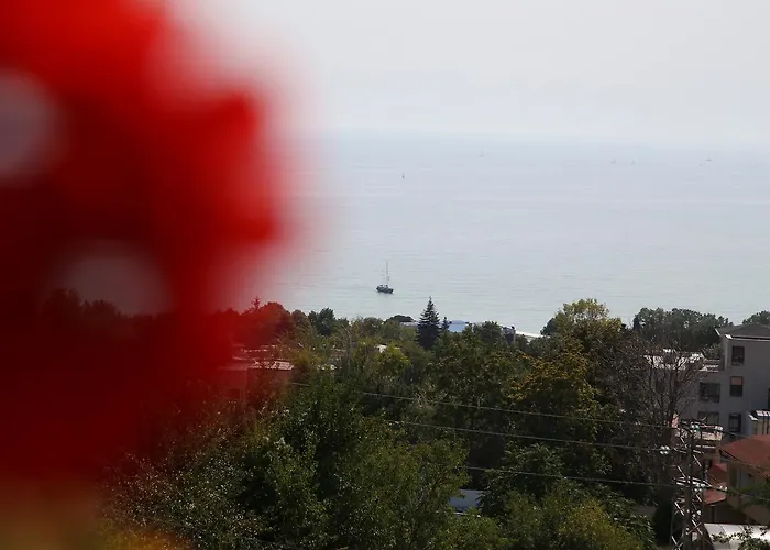 Popov Maison d'hôtes Balchik